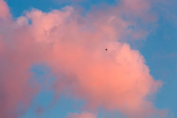 Невероятное Закатное Небо Облаками Солнцем — стоковое фото