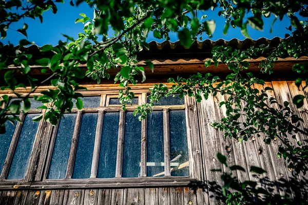 Balkon Kwiatami Słoneczny Dzień — Zdjęcie stockowe