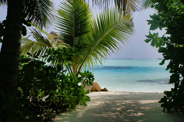 Picknick Eiland Buurt Van Maafushi Island Maldives — Stockfoto