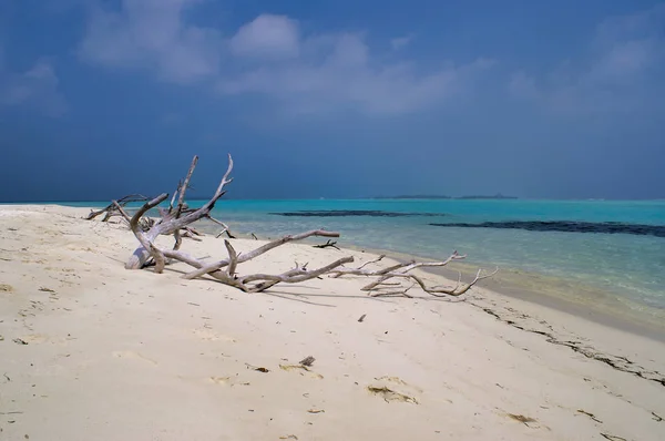 Νησί Πικ Νικ Κοντά Στο Νησί Maafushi Μαλδίβες — Φωτογραφία Αρχείου
