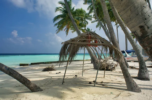 Palm Bomen Shack Maafushi Island Maldives — Stockfoto