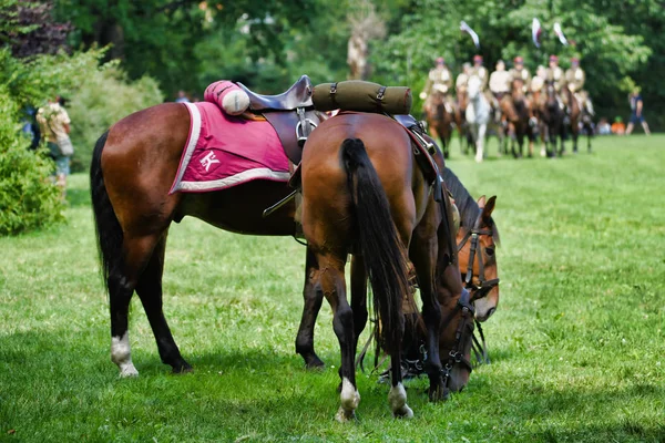 Celebrating Army Day Warsaw Army Horses Polish Soldiers Historical Uniforms — Stock Photo, Image