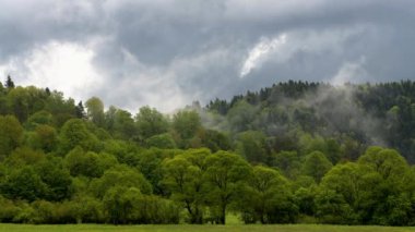 Karpat ormanı ve dağlarının olağanüstü panoramik manzarası Bieszczady Polonya.