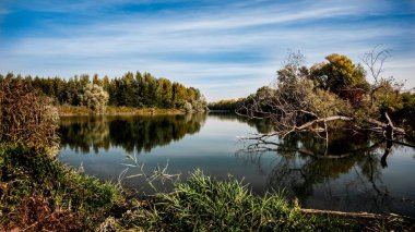 Danube'nın Floodplains, Slovakya manzaraya. Korunan peyzaj alanı Dunajsk luhy bir önemli su kuşları biyotop var. Nadir kuş türü düzenli olarak burada meydana ve neden Pla IBA önemli kuş toprakları arasında bulunur nedeni.