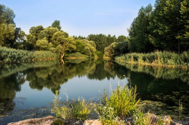 Danube'nın Floodplains, Slovakya manzaraya. Korunan peyzaj alanı Dunajsk luhy bir önemli su kuşları biyotop var. Nadir kuş türü düzenli olarak burada meydana ve neden Pla IBA önemli kuş toprakları arasında bulunur nedeni.