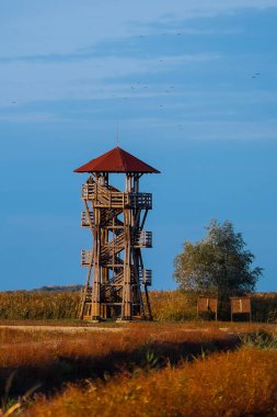Hortobagy Ulusal Parkı 'ndaki kuş izleme kulesi. Macaristan.