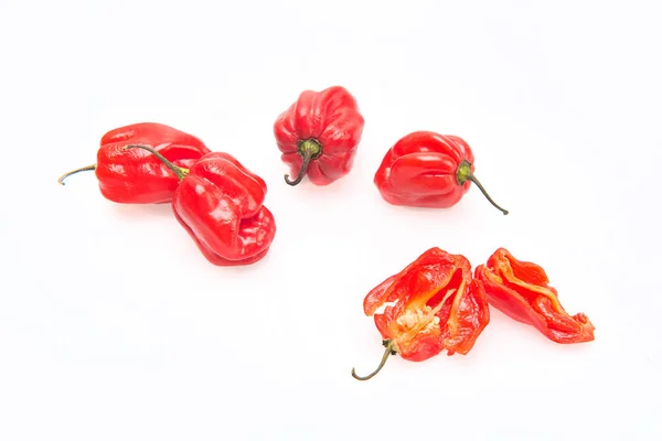Red Hot Pepper White Background — Stock Photo, Image