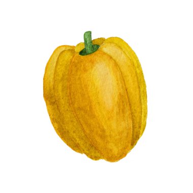 Sarı biber suluboya illüstrasyon beyaz arka plan üzerinde izole