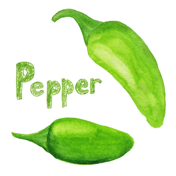 Piment jalapeno vert illustration aquarelle — Photo