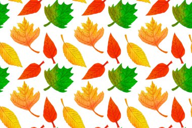 Renkli yaprakları ile suluboya sonbahar dikişsiz desen