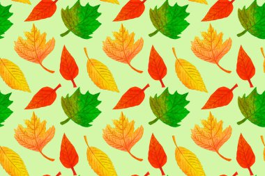 Renkli yaprakları ile suluboya sonbahar dikişsiz desen