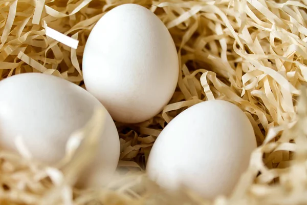 Three white chicken eggs lying in the straw nest