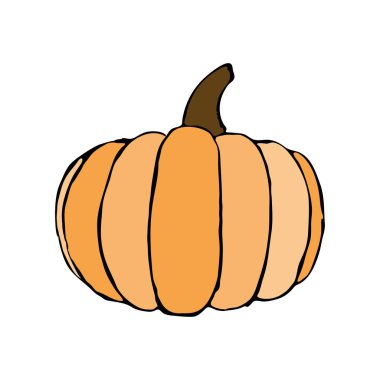 Vektör el çizilmiş turuncu kabak