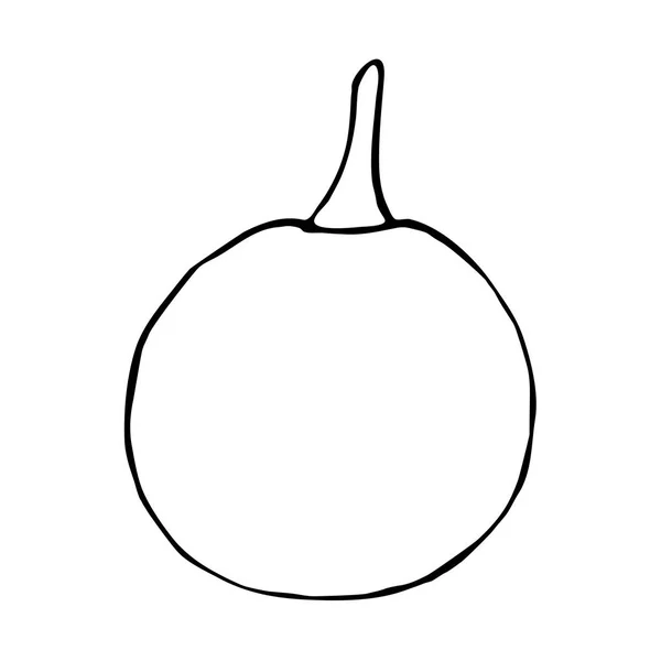 Dibujo del contorno vectorial de calabaza — Vector de stock