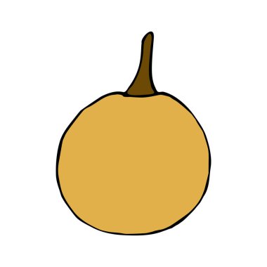 Vektör el çizilmiş turuncu kabak