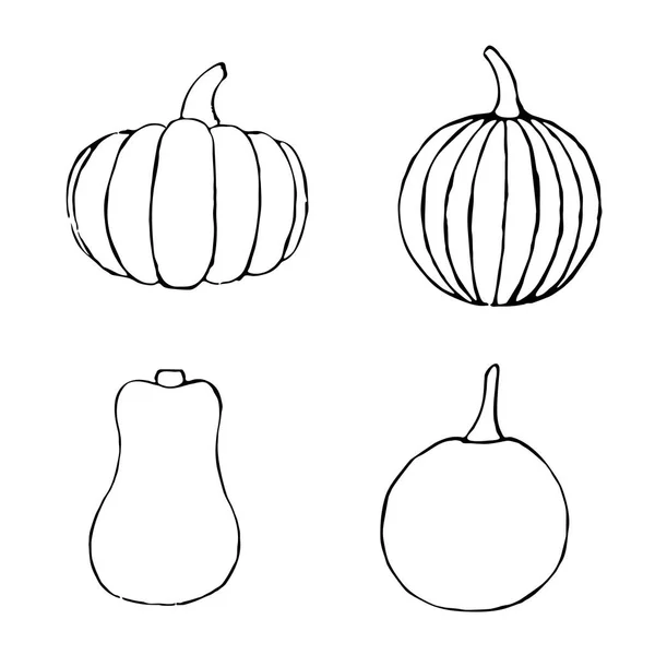 Conjunto vectorial de calabazas dibujadas a mano — Vector de stock