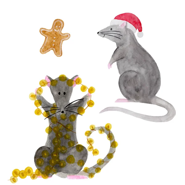 Aquarell-Set von Weihnachtsratten — Stockfoto