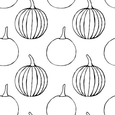 El çizilmiş anahat kabaklar ile vektör dikişsiz desen
