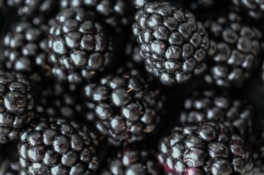 Taze böğürtlenli yakın plan