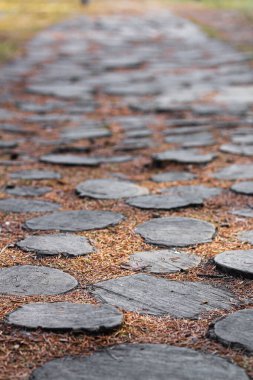 Orman yolu ağaç kütükleriyle yapıldı.