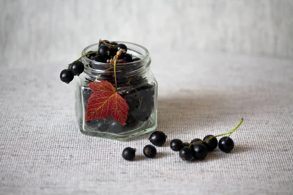 Grosellas negras en frasco de vidrio — Foto de Stock