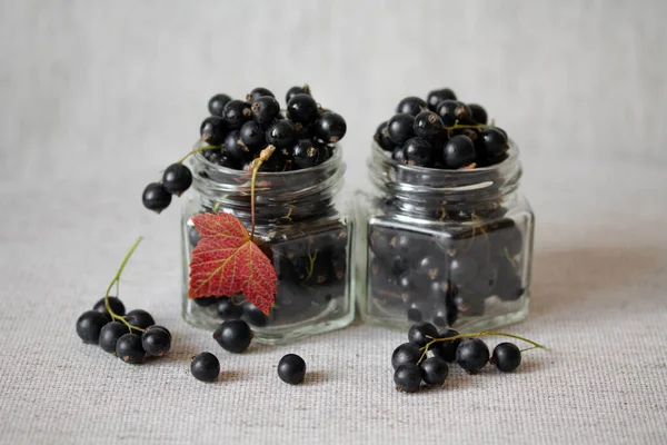 Grosellas negras en frascos de vidrio — Foto de Stock