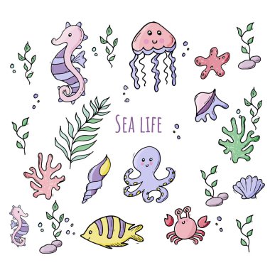 Kabukları ile çeşitli deniz canlıları renkli seti