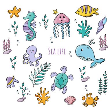 Çeşitli deniz canlıları ve deniz bitkileri renkli seti