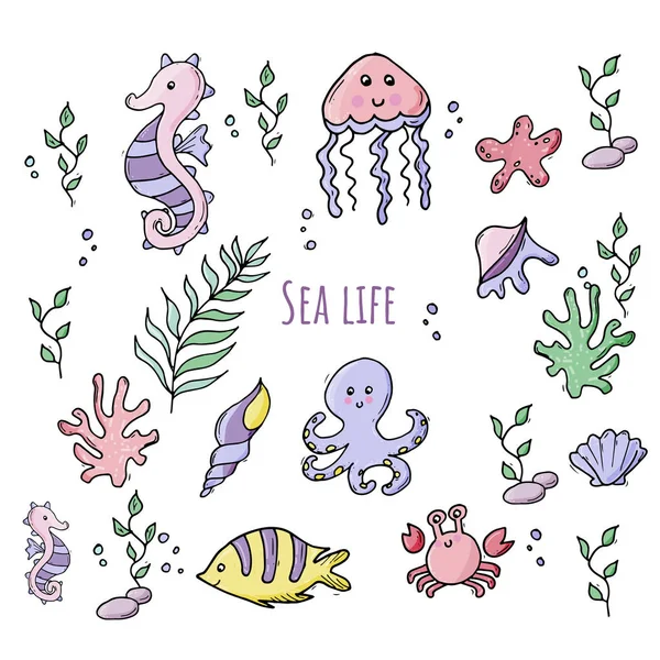 Kabukları ile çeşitli deniz canlıları renkli seti