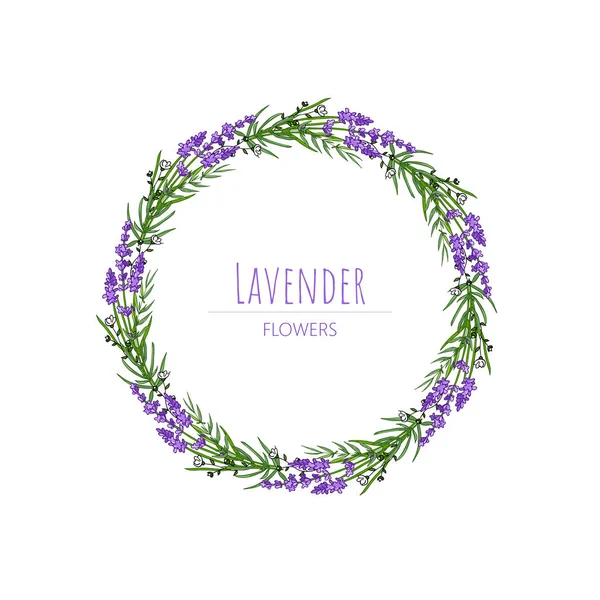 Çiçek ve metin çerçeveli lavanta zarif kart. Metin sunumunuz için lavanta çelengi.