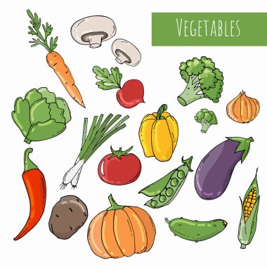 Beyaz arka planda izole renkli Doodle sebzeler.