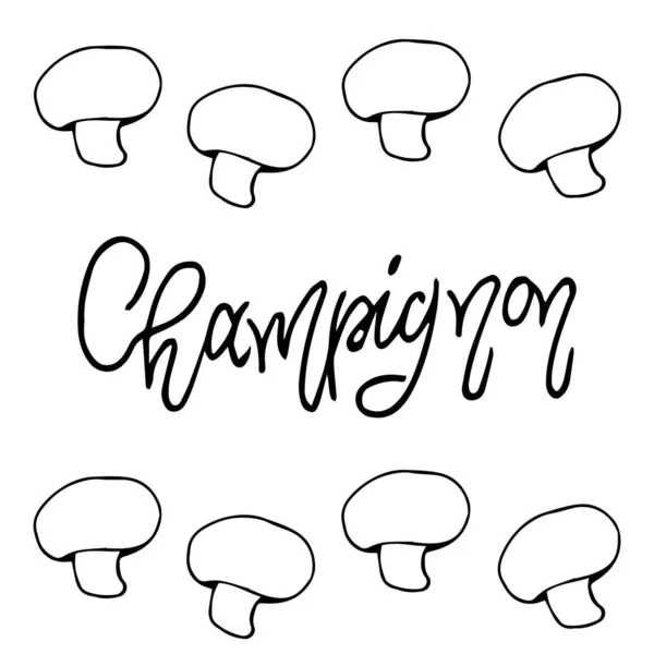 Cogumelos Champignon Isolados Sobre Fundo Branco Ilustração Desenho Mão —  Vetores de Stock