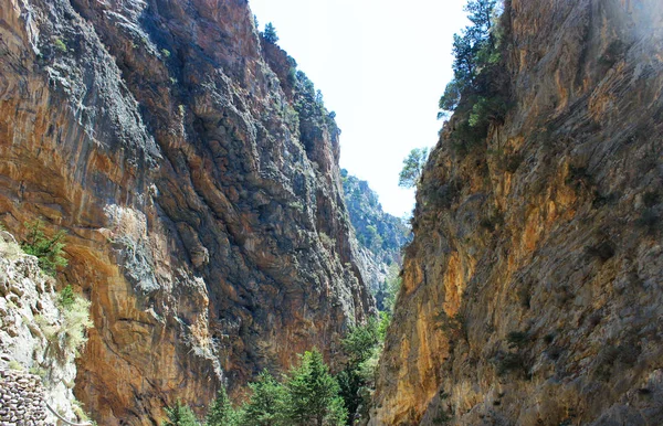 Felsen Und Nadelbäume Die Schlucht Von Samaria Fußgängerführung Griechenland Beton — Stockfoto