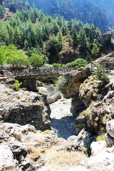 Paisaje Montaña Piedras Puente Primer Plano Fondo Montañas Árboles Recorrido —  Fotos de Stock