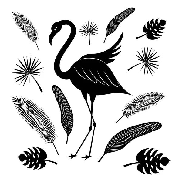 Фламінго Тропічні Листя Кокосова Пальма Palm Fan Банан Текстури Чорний — стоковий вектор
