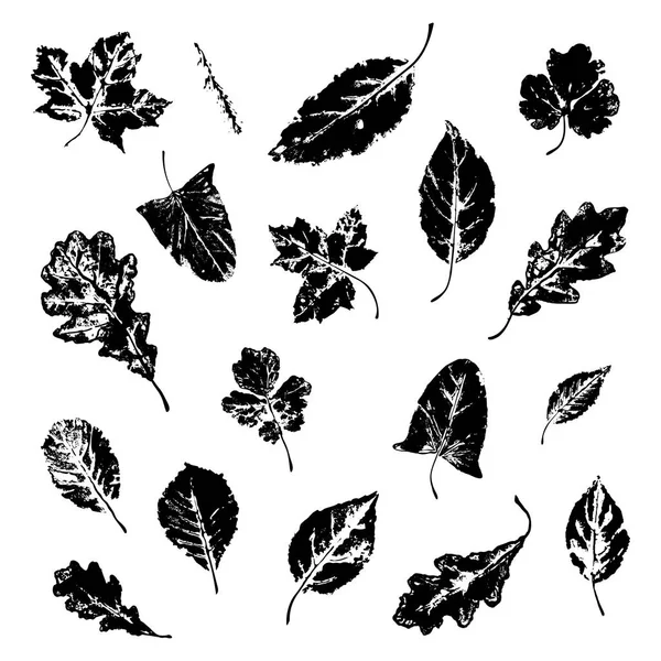 Sello de hojas: arce, roble, abedul, rama de abeto y otros . — Archivo Imágenes Vectoriales