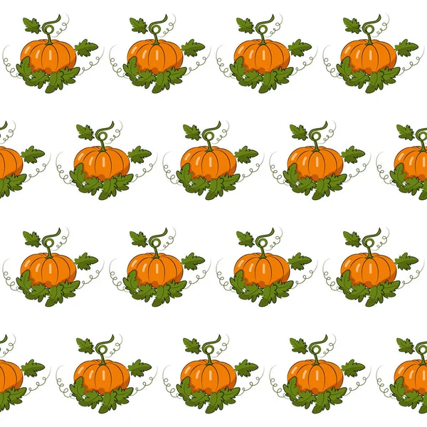 Citrouille avec des feuilles vectoriel motif sans couture. Légume orange de texture transparente. Festival de la récolte. Automne. Halloween. Thanksgiving Day.Textiles, papier d'emballage, conception de papier peint. Objets isolés. — Image vectorielle