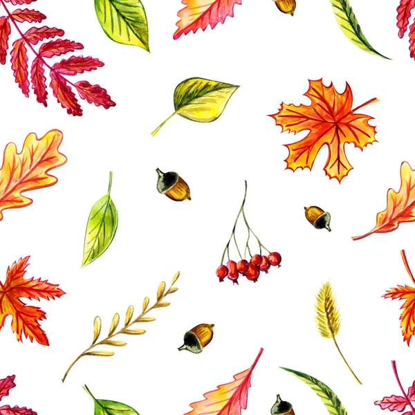 Watercolor autumn leaves seamless pattern. leaves maple, birch, willow, oak, acorn, rowan leaf and berries, grass spike seamless texture.