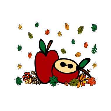 Elle çizilmiş elma. sonbahar kartı. Vektör illüstrasyon. Eps 10