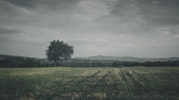 Moody kırsal manzara bulutlu gökyüzü