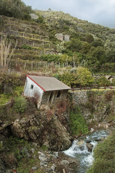 Terk edilmiş ev manzara Avrupa sahne