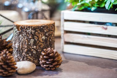 Ahşap köknar koniler ile günlük