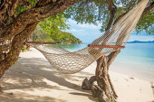 Картина, постер, плакат, фотообои "hammock between green trees on the tropical beach near the turquoise sea", артикул 246003542