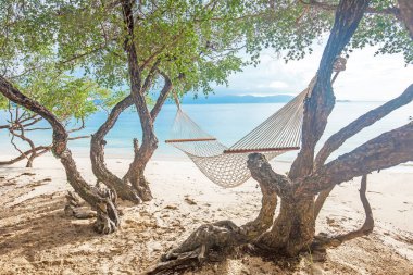 Hamak turkuaz deniz kenarında tropik sahilde yeşil ağaçların arasındaki