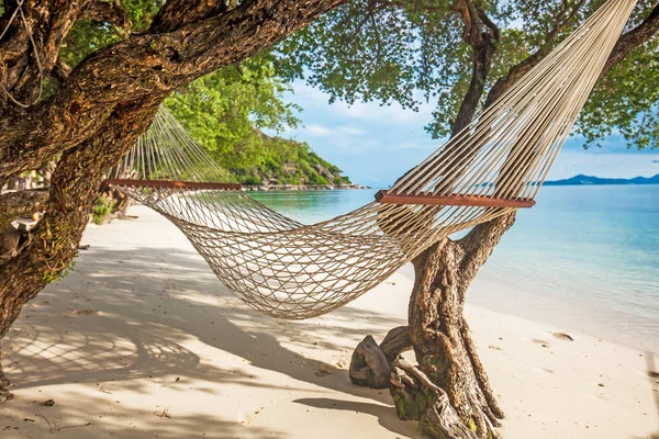 Hängematte zwischen grünen Bäumen am tropischen Strand nahe dem türkisfarbenen Meer — Stockfoto