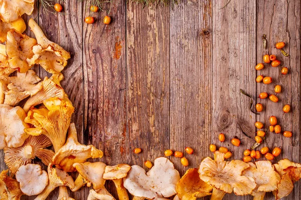 Frame from chanterelles and sea buckthorn on wooden background — Stock Photo, Image