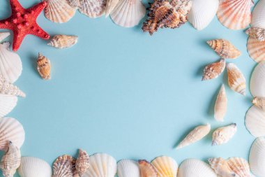 Mavi arka plan üzerinde deniz kabukları ve denizyıldızı çerçevesi
