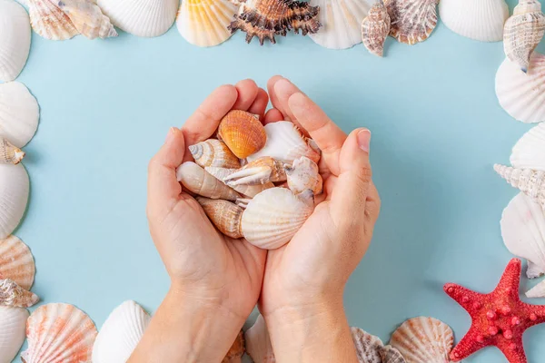 Womens hands hold a seashells on a blue summer background with different shells and starfish — Stock Photo, Image