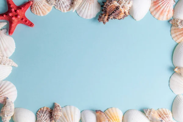 Frame van schelpen en zeesterren op een blauwe achtergrond — Stockfoto