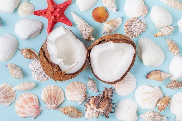 Halves of coconut surrounded sea shells and starfish on blue backgroun — Stock Photo, Image